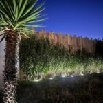Clotures Arborea Design jardin Nuit
