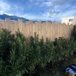 Clotures Arborea Design jardin
